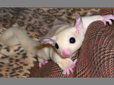 photo of Sammie