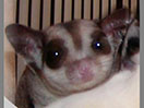 Mother photo