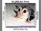 Photo of Sunny
