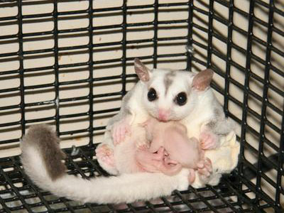 photo of Haley