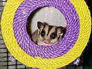 Photo of Chloey - Buttercream