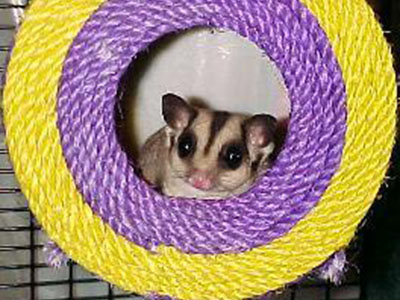 photo of Chloey - Buttercream