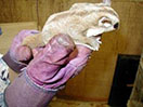 Photo of Blanche - FFR