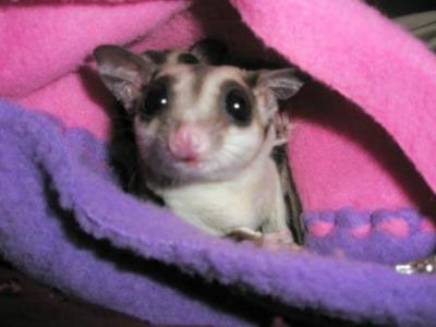 photo of Cinnie