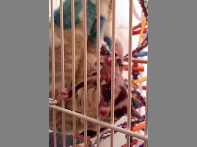 photo of Jill