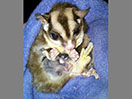 Mother photo