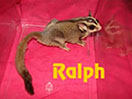 Father photo