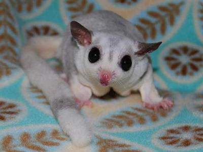 photo of Molly
