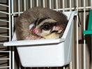 Photo of Mama