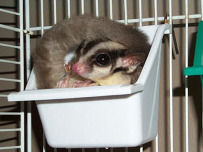 photo of Mama
