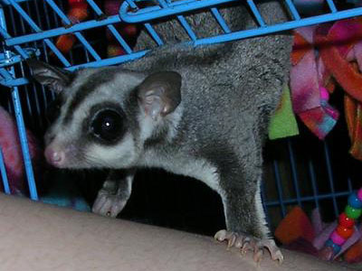 photo of Addison